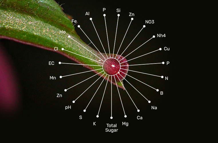 analisis-2